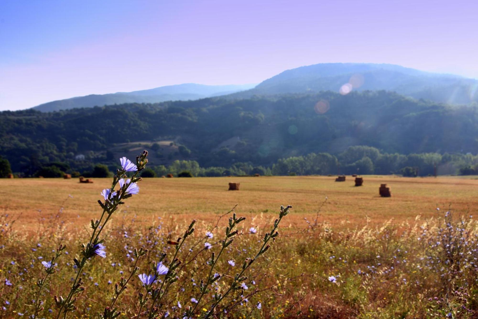 Baciano Azienda Agrituristico Venatoria Capolona المظهر الخارجي الصورة