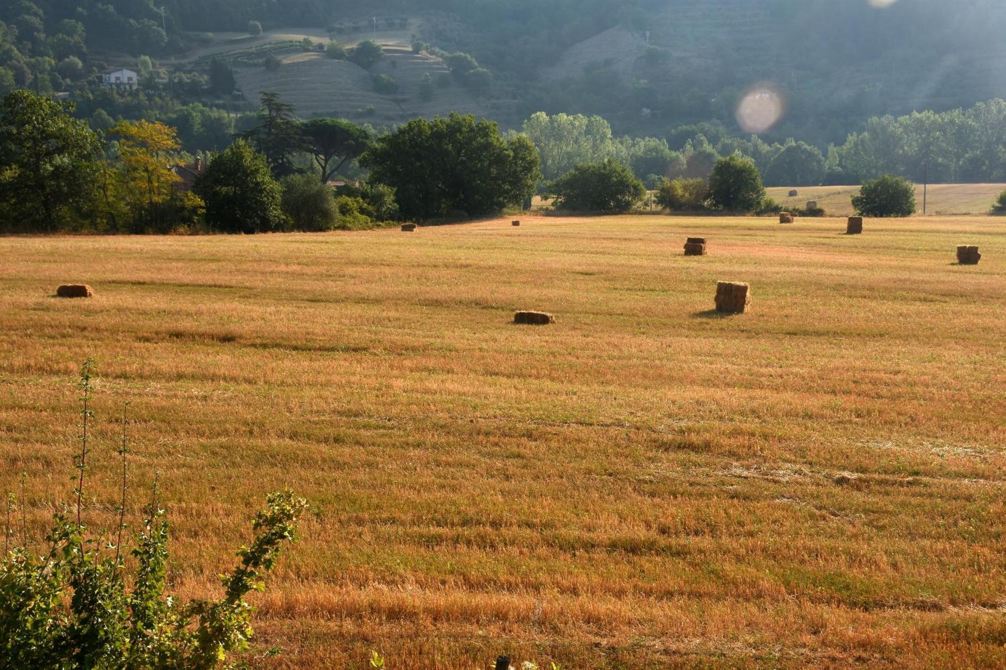 Baciano Azienda Agrituristico Venatoria Capolona المظهر الخارجي الصورة