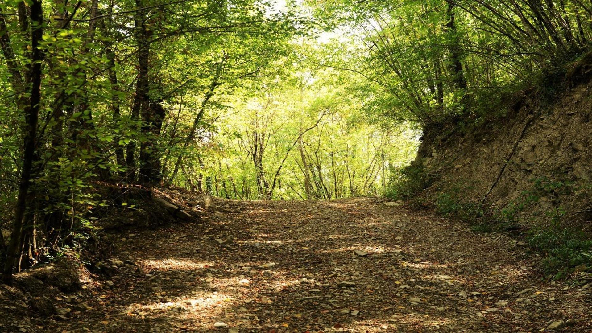 Baciano Azienda Agrituristico Venatoria Capolona المظهر الخارجي الصورة